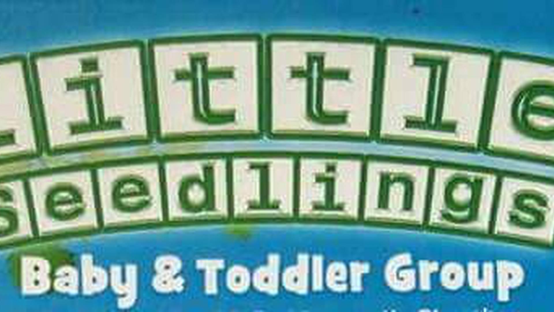 Little Seedlings Baby and Toddler Group photo