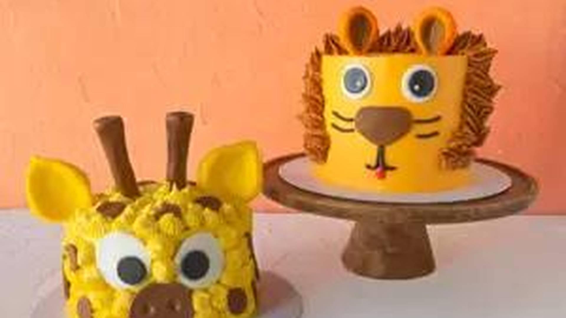 Summer Safari Family Bakes photo