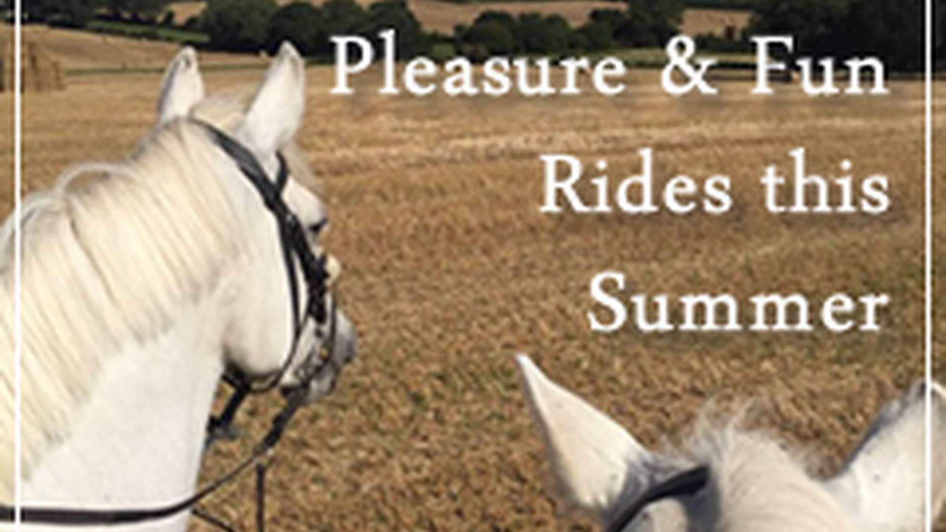 All Hire Availability For This Date @ Nec photo