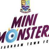 Farnham Town FC Youth logo