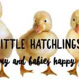 Little Hatchlings logo