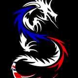 Dragons Academy logo
