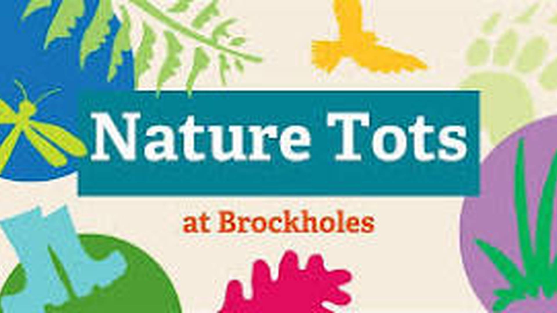 Nature Tots at Brockholes Nature Reserve - 23rd February 2024 photo