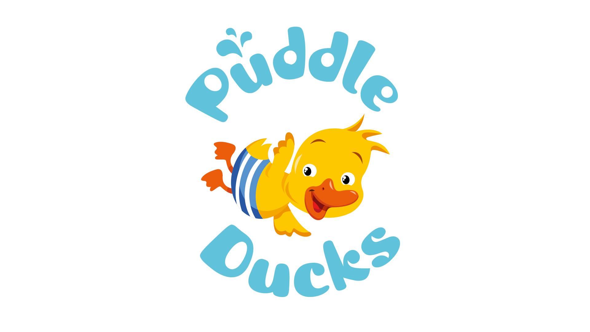 Puddle Ducks photo