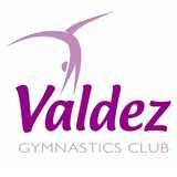 Valdez Gymnastics logo