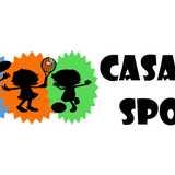 CASA Mini Sports Ltd logo