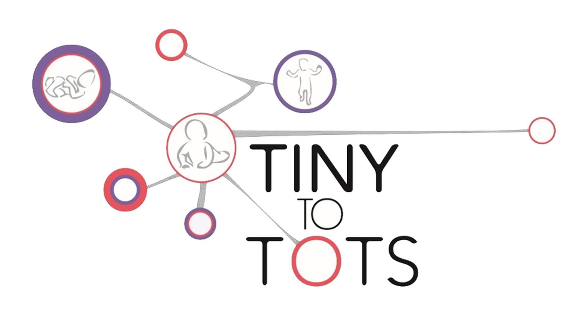 Tiny To Tots Borsa Porta Pannolini Da Viaggio - Grigia, 100% Poliestere, Con Inserti Rimovibili E Tasche Laterali
