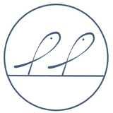 Flying Fish Studio logo